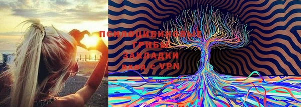 не бодяженный Горно-Алтайск