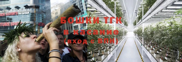 не бодяженный Горно-Алтайск