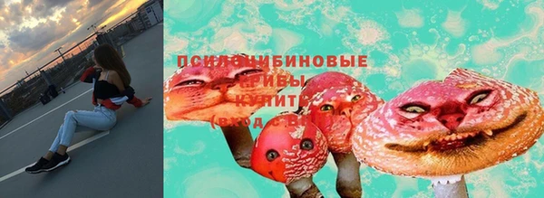 не бодяженный Горно-Алтайск