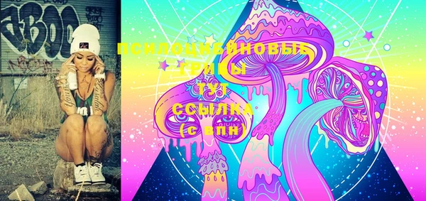 не бодяженный Горно-Алтайск