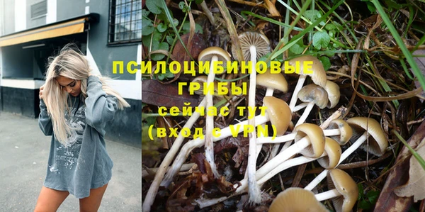 не бодяженный Горно-Алтайск