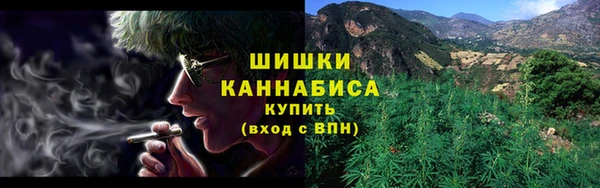 не бодяженный Горно-Алтайск