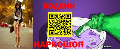 СК Кингисепп