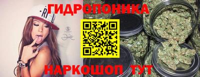 СК Кингисепп