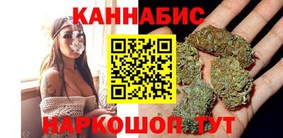 СК Кингисепп