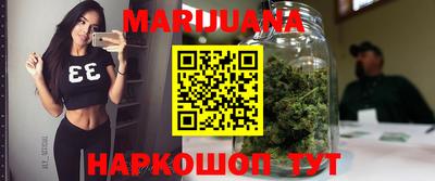 СК Кингисепп