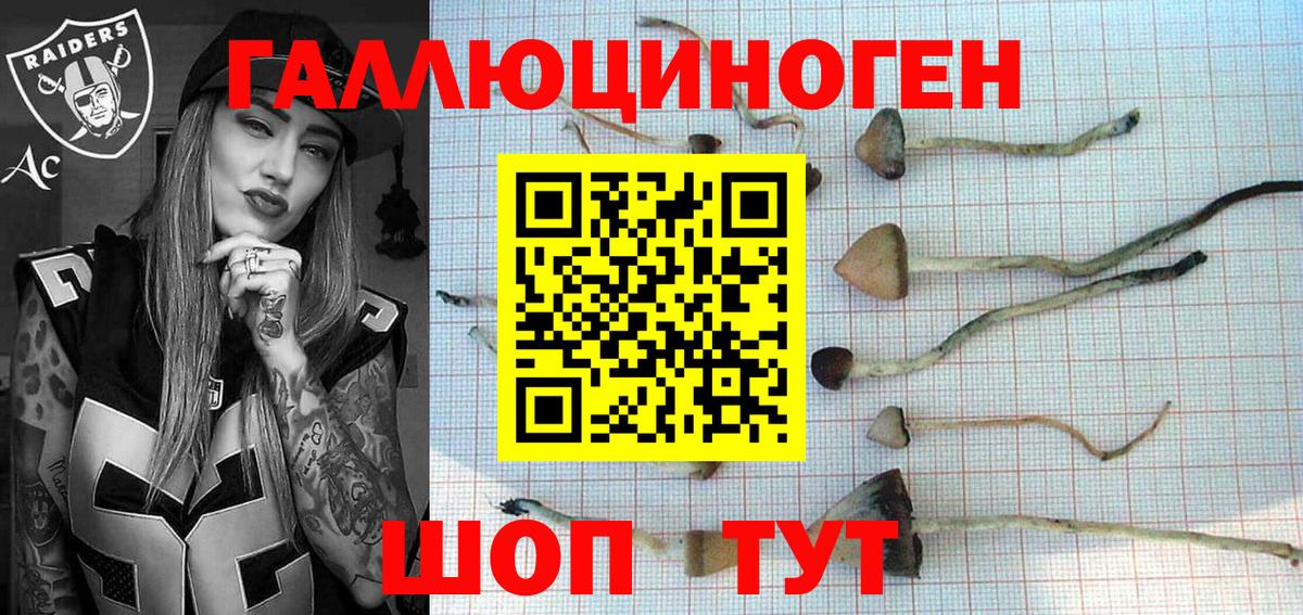 как найти наркотики  Галлюциногенные грибы Cubensis  Вход с VPN  Псилоцибиновые грибы MAGIC MUSHROOMS  Москва 