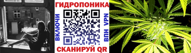 Конопля гибрид  купить  цена  Москва 